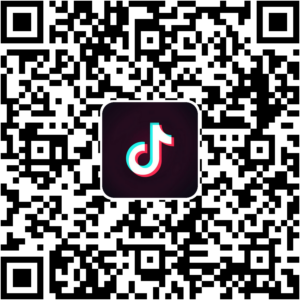 抖音小程序